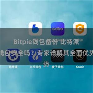 Bitpie钱包备份 比特派钱包安全吗？专家详解其全面优势