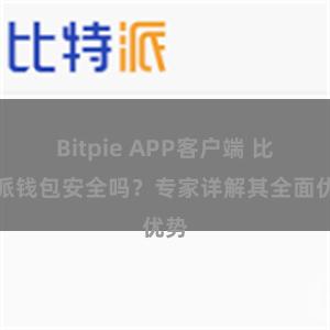 Bitpie APP客户端 比特派钱包安全吗？专家详解其全面优势