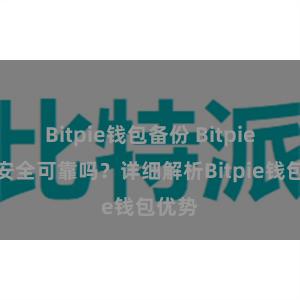 Bitpie钱包备份 Bitpie钱包安全可靠吗？详细解析Bitpie钱包优势