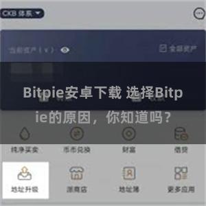 Bitpie安卓下载 选择Bitpie的原因，你知道吗？