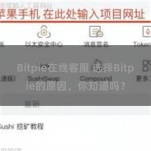 Bitpie在线客服 选择Bitpie的原因，你知道吗？