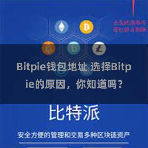 Bitpie钱包地址 选择Bitpie的原因，你知道吗？