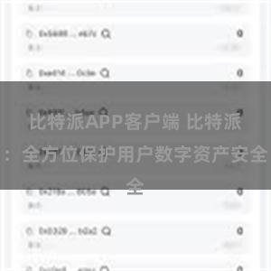 比特派APP客户端 比特派：全方位保护用户数字资产安全