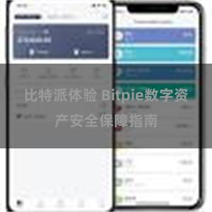 比特派体验 Bitpie数字资产安全保障指南