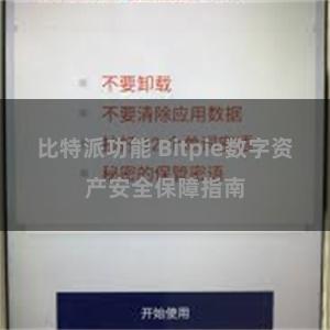 比特派功能 Bitpie数字资产安全保障指南