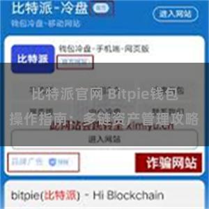 比特派官网 Bitpie钱包操作指南：多链资产管理攻略