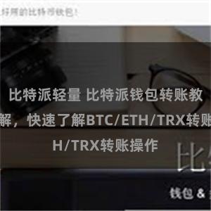 比特派轻量 比特派钱包转账教程详解，快速了解BTC/ETH/TRX转账操作