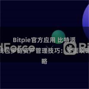 Bitpie官方应用 比特派钱包多链资产管理技巧：全面攻略