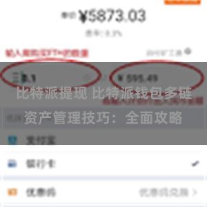 比特派提现 比特派钱包多链资产管理技巧：全面攻略