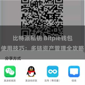 比特派私钥 Bitpie钱包使用技巧：多链资产管理全攻略