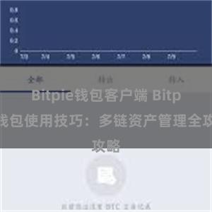 Bitpie钱包客户端 Bitpie钱包使用技巧：多链资产管理全攻略