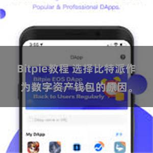 Bitpie教程 选择比特派作为数字资产钱包的原因。
