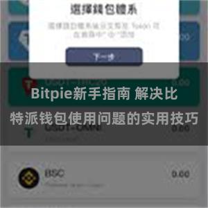 Bitpie新手指南 解决比特派钱包使用问题的实用技巧