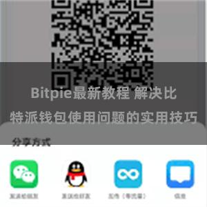 Bitpie最新教程 解决比特派钱包使用问题的实用技巧