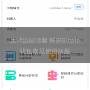 比特派国际版 解决Bitpie钱包常见使用问题