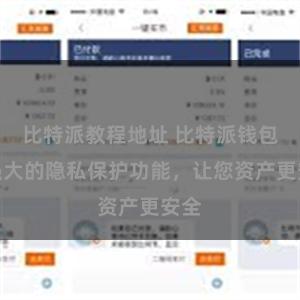 比特派教程地址 比特派钱包：强大的隐私保护功能，让您资产更安全