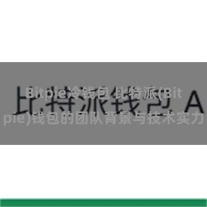 Bitpie冷钱包 比特派(Bitpie)钱包的团队背景与技术实力