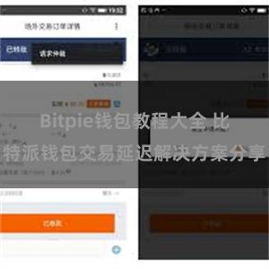 Bitpie钱包教程大全 比特派钱包交易延迟解决方案分享