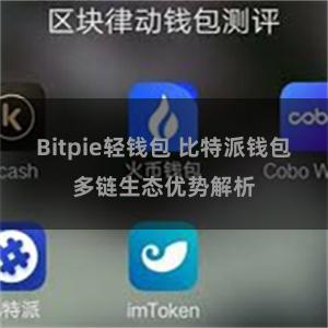 Bitpie轻钱包 比特派钱包多链生态优势解析