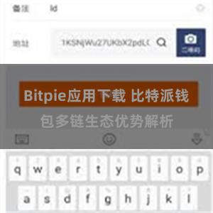 Bitpie应用下载 比特派钱包多链生态优势解析