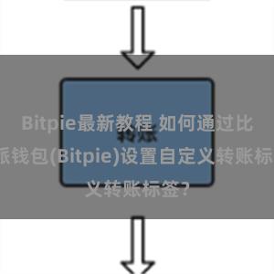 Bitpie最新教程 如何通过比特派钱包(Bitpie)设置自定义转账标签？