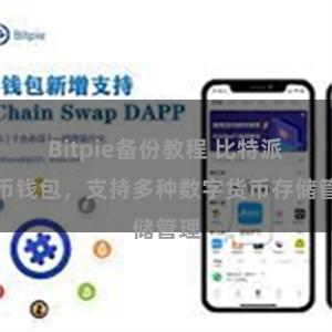 Bitpie备份教程 比特派多币钱包，支持多种数字货币存储管理
