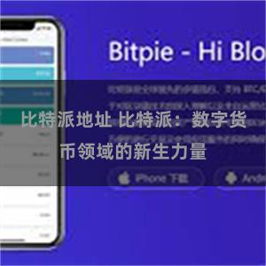 比特派地址 比特派：数字货币领域的新生力量
