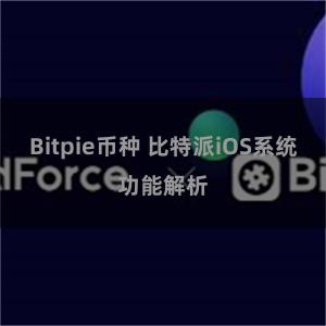 Bitpie币种 比特派iOS系统功能解析
