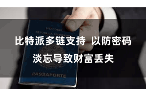 比特派多链支持  以防密码淡忘导致财富丢失