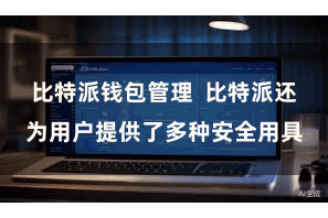比特派钱包管理  比特派还为用户提供了多种安全用具