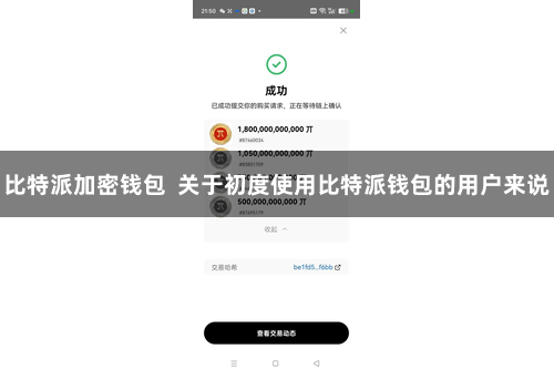 比特派加密钱包  关于初度使用比特派钱包的用户来说