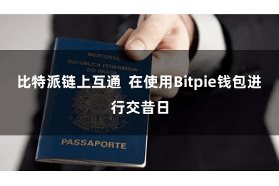 比特派链上互通  在使用Bitpie钱包进行交昔日