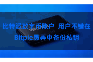 比特派数字币账户  用户不错在Bitpie愚弄中备份私钥