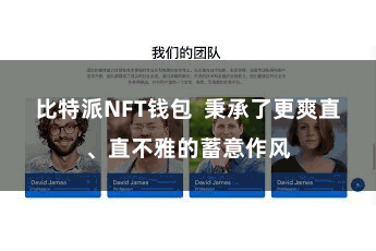 比特派NFT钱包  秉承了更爽直、直不雅的蓄意作风