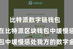比特派数字链钱包  用户不错在比特派区块钱包中缓慢惩处我方的数字金钱