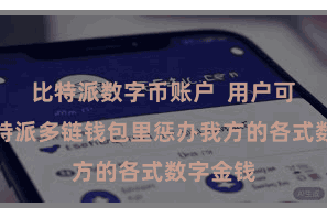 比特派数字币账户  用户可以在比特派多链钱包里惩办我方的各式数字金钱
