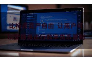 比特派资产自由  让用户可以安稳地进行数字货币管制
