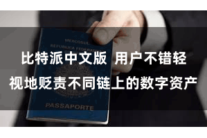 比特派中文版  用户不错轻视地贬责不同链上的数字资产