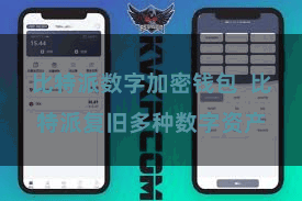 比特派数字加密钱包  比特派复旧多种数字资产